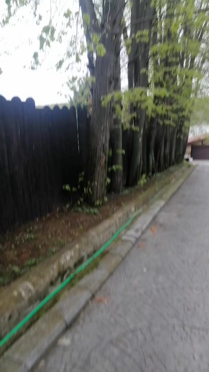 @🍀🍀🍀
