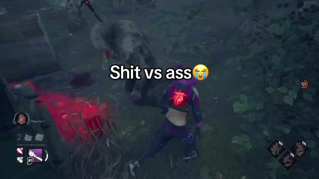 @Leo 🦈