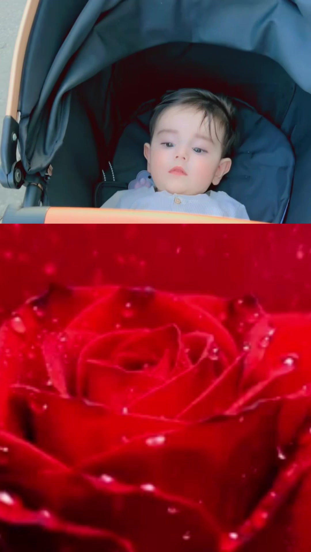 @Sarah Bibi