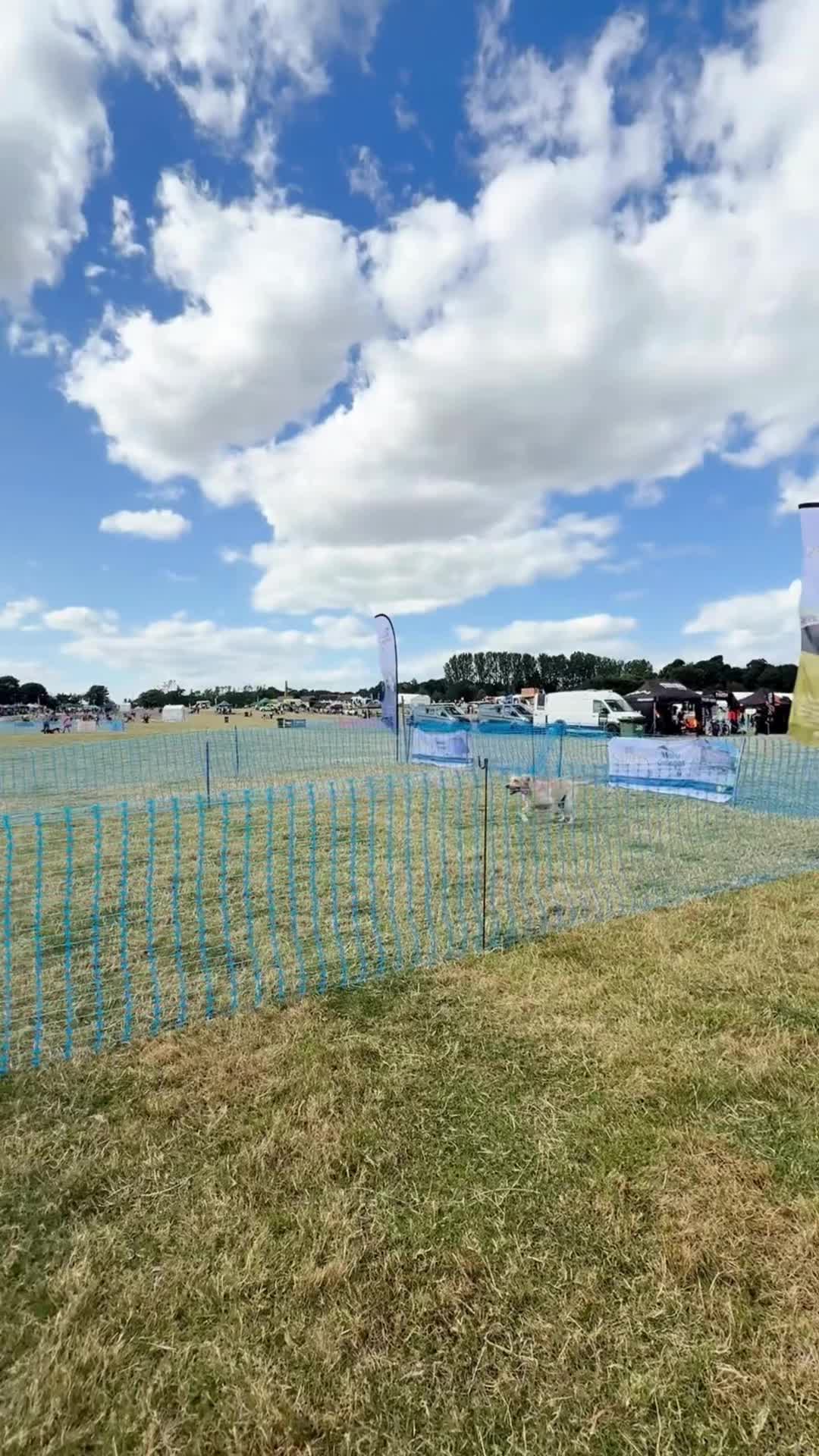 @northeastdogfestival