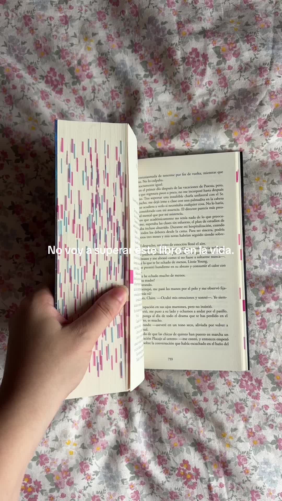 @𝑩𝒆𝒍 📖🧸