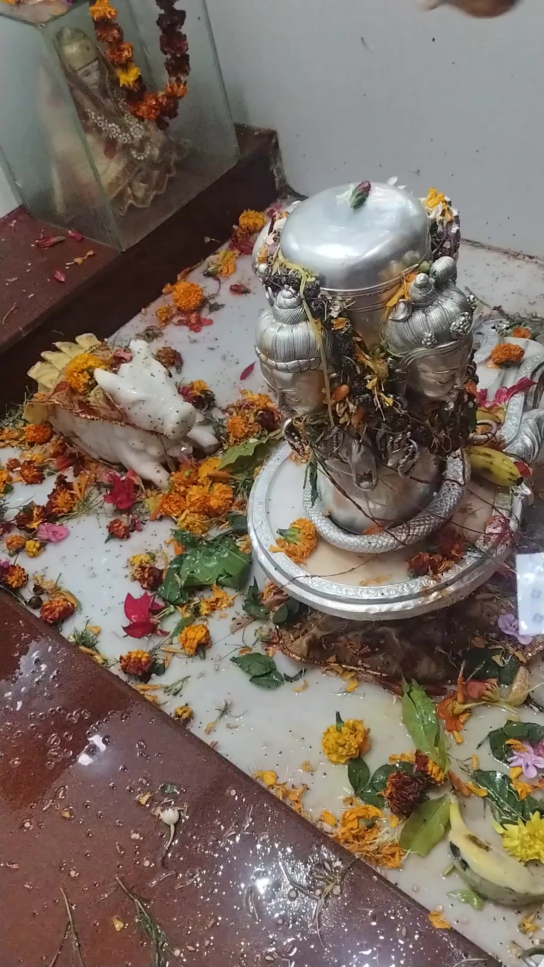 @Renu Mandal845