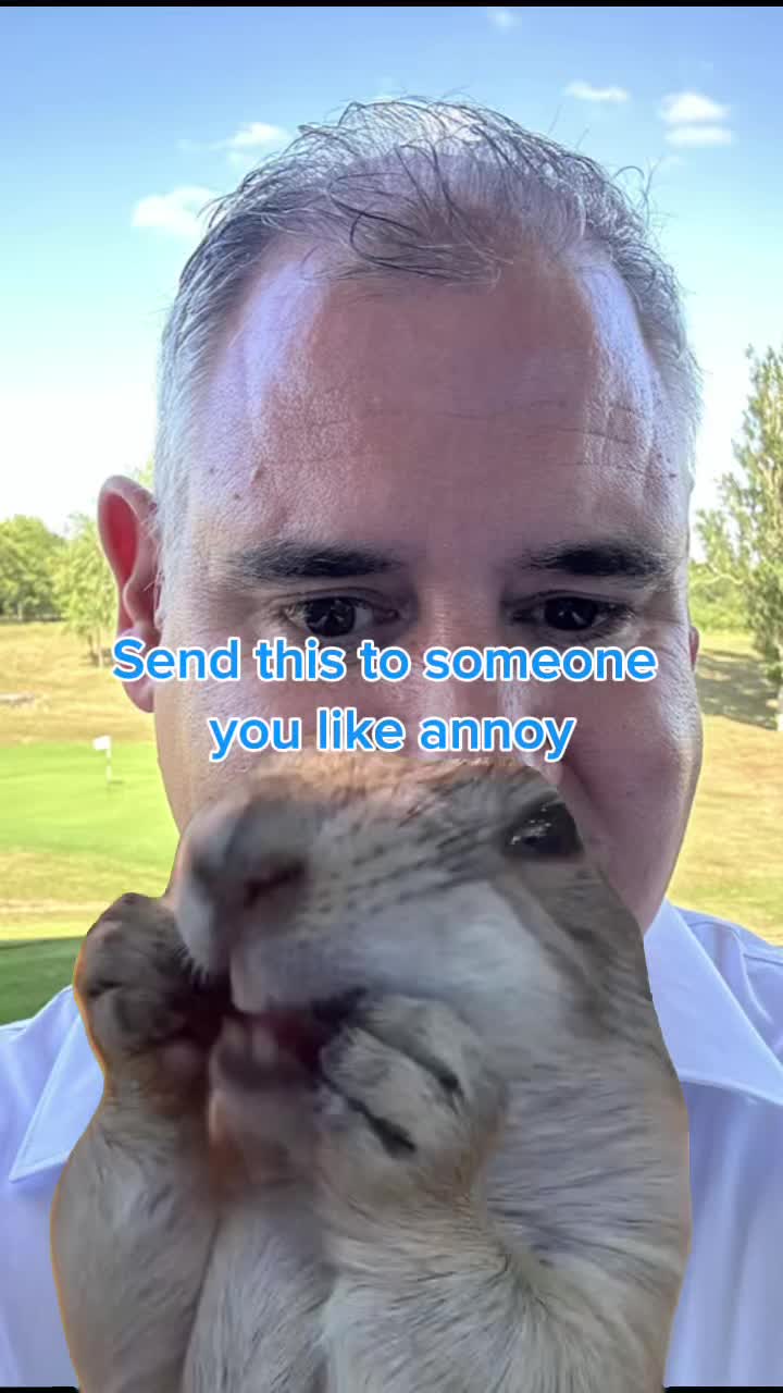 @MB1