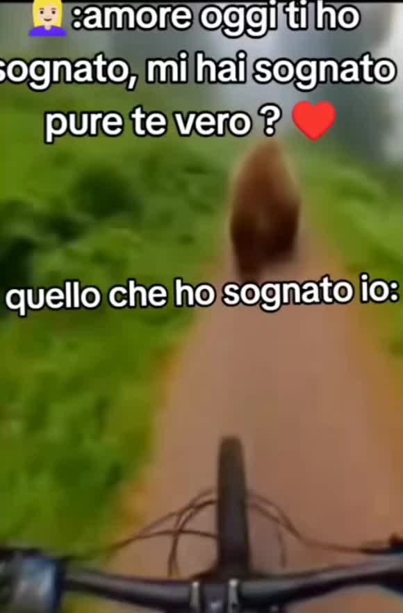 @vitto👑
