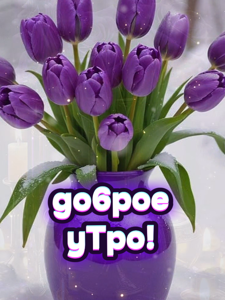 @Glafira