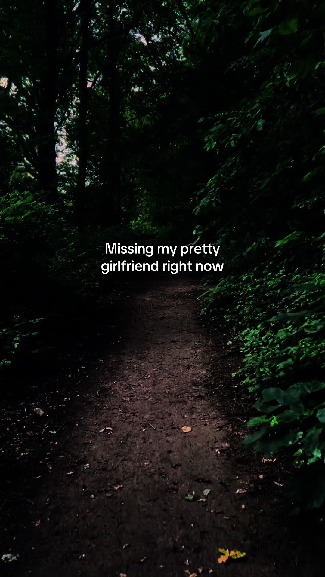 @reel_feels_