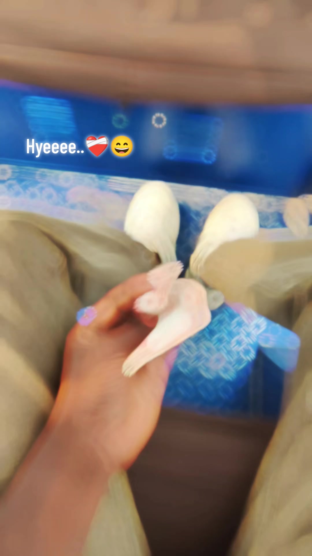 @46