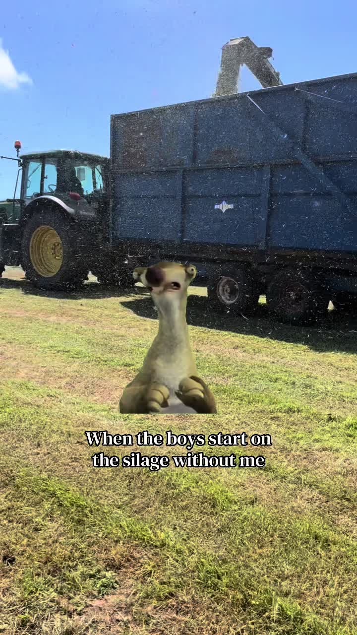 @LassontheLand🌾