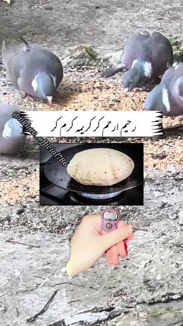 @Sister N Khan♥️