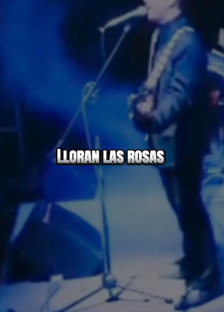 @🎶👑 ℒ𝓊𝒾𝓈 👑🎶