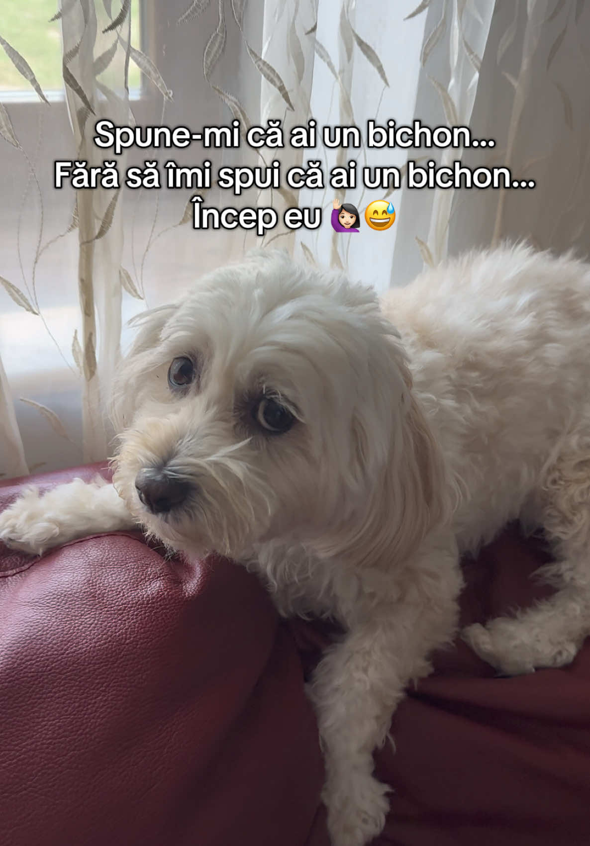 @Dr. Nicola Ioana