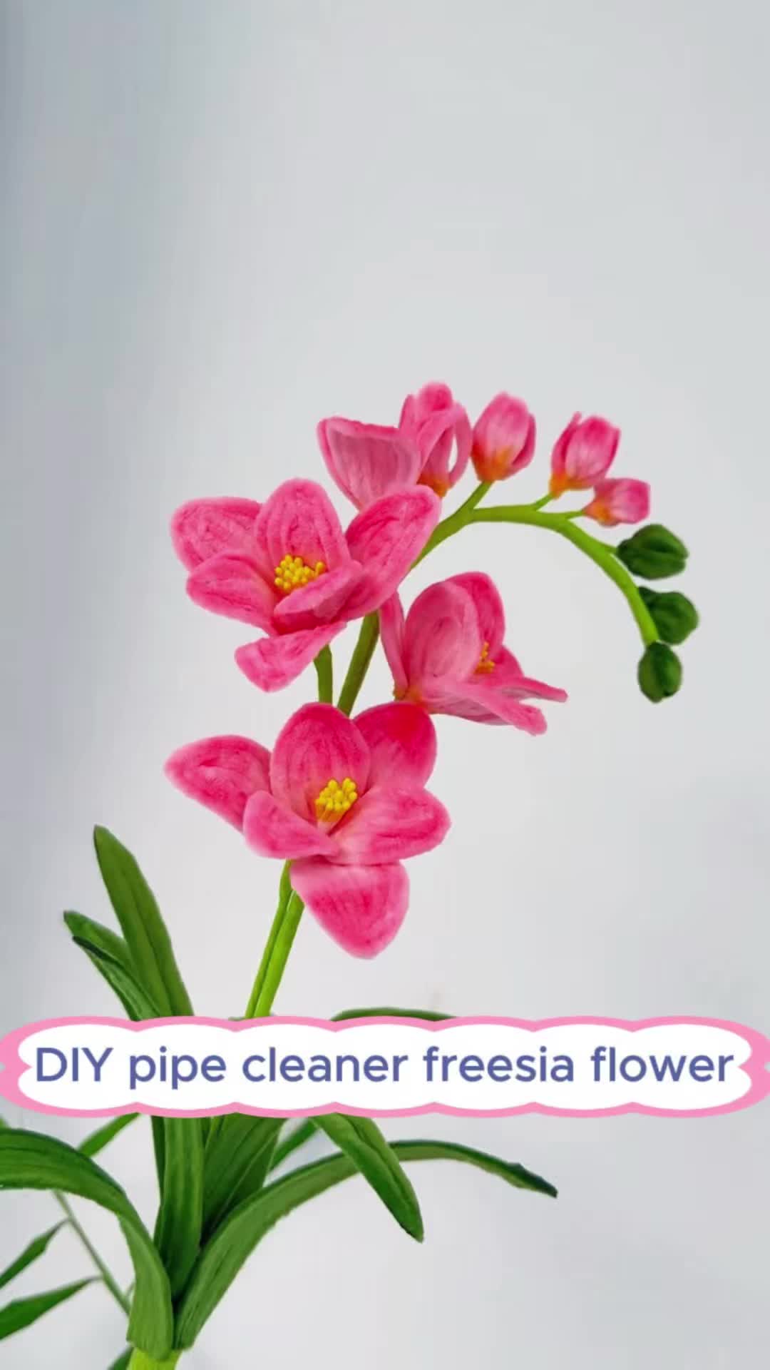 @Duo Fashion DIY