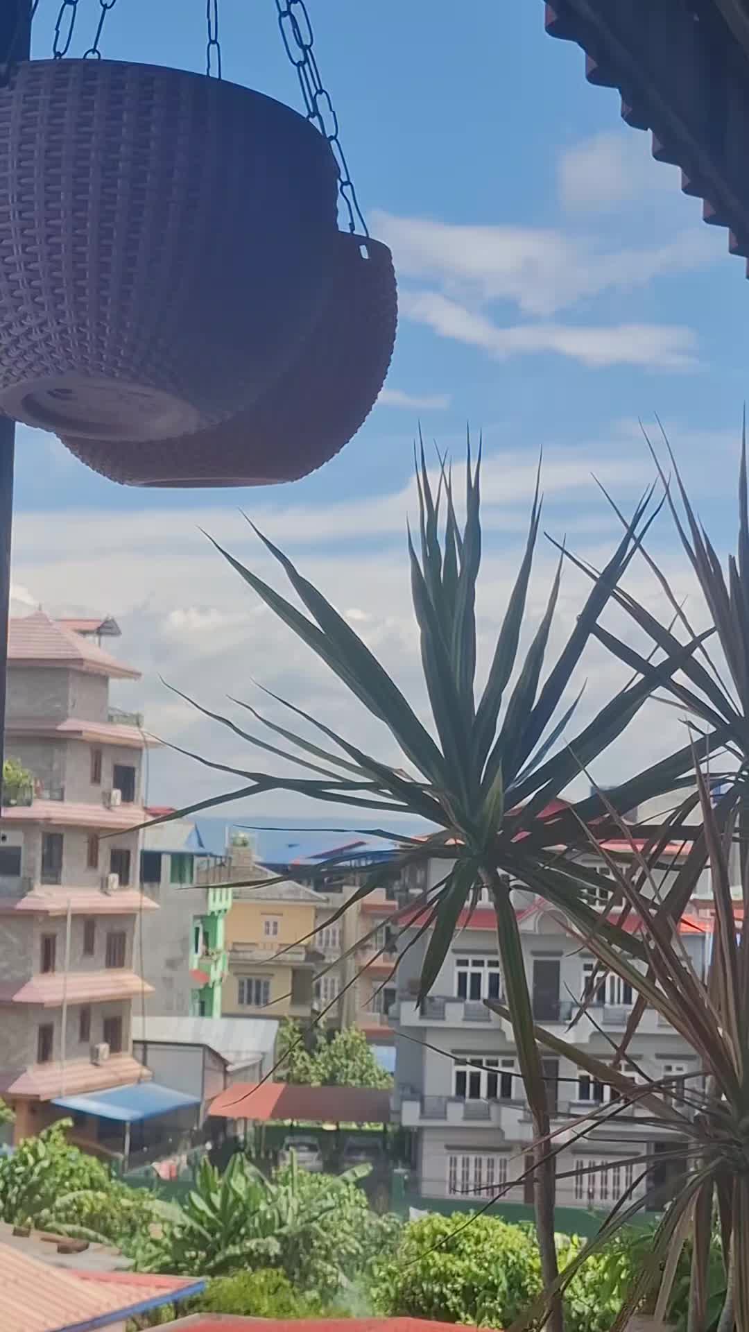 @Sarita