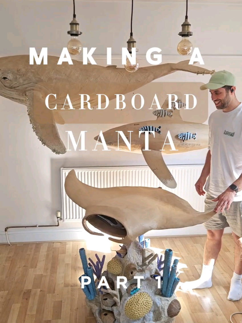 @Josh Gluckstein- Cardboard Art