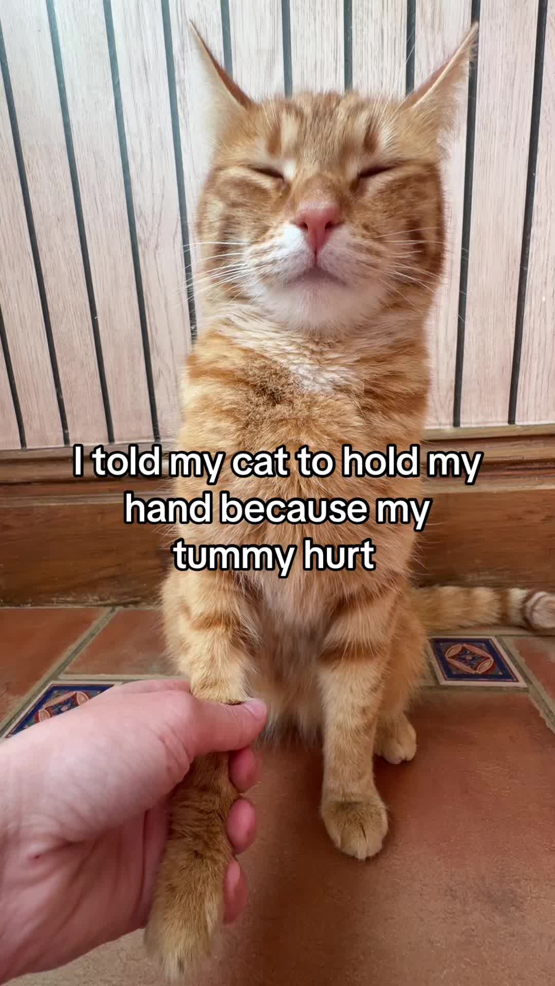 @Mittens