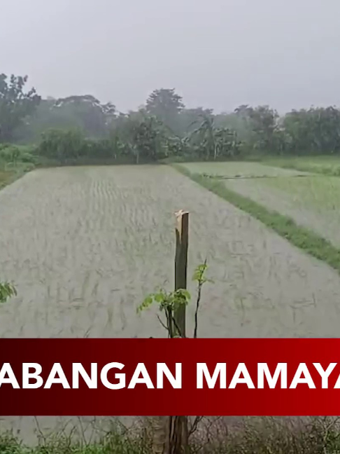 @24 Oras