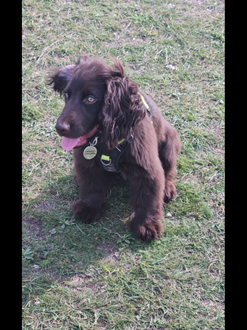 @Emma 🤪