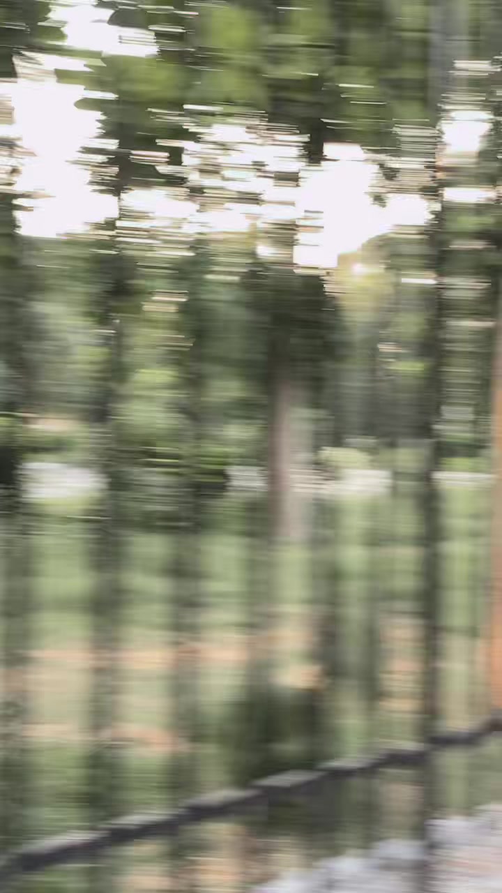 @𝐌𝐀𝐑𝐃𝐀𝐍 𝐊𝐈𝐍𝐆