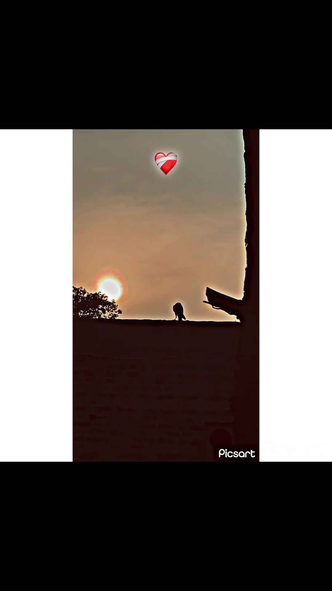 @میاں ❤️🩹