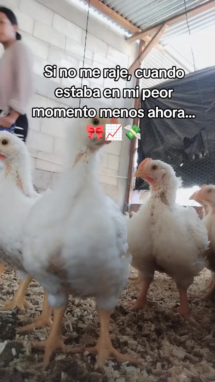 @ElyAlonzo