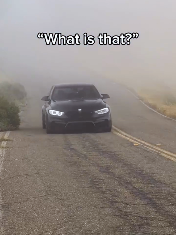 @ⱤӾ