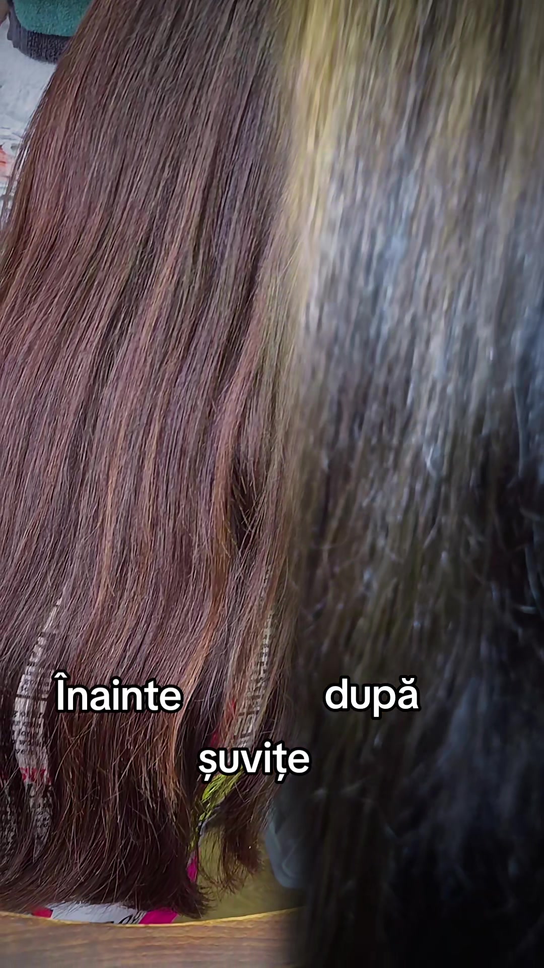@danielaloveionut15