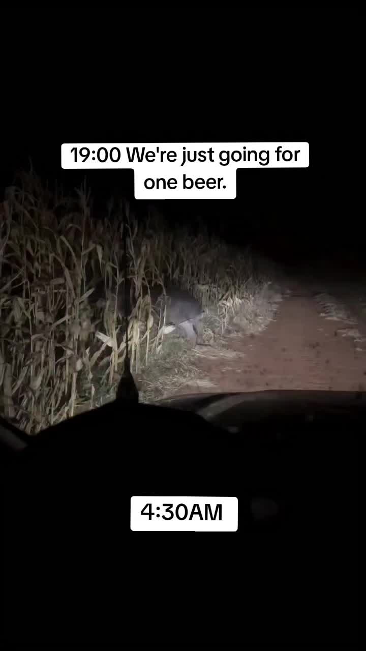 @ඞ