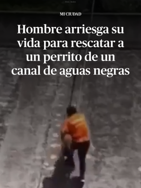 @DiariodeM&eacute;xico