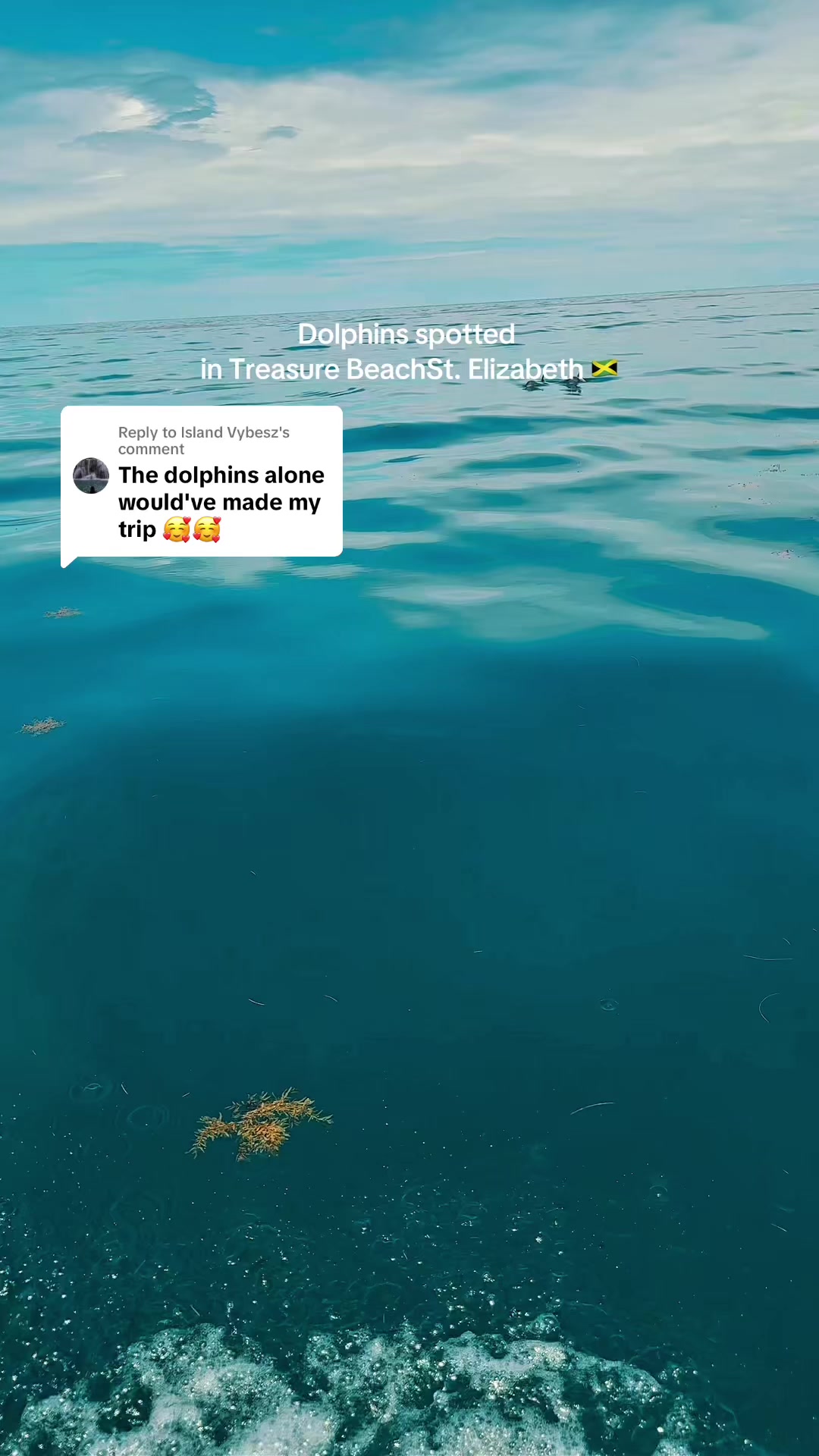 @Toni-Ann | Content Creator