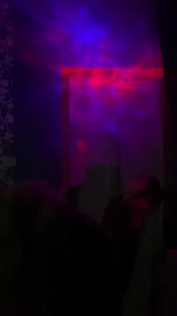 @лэсявиш