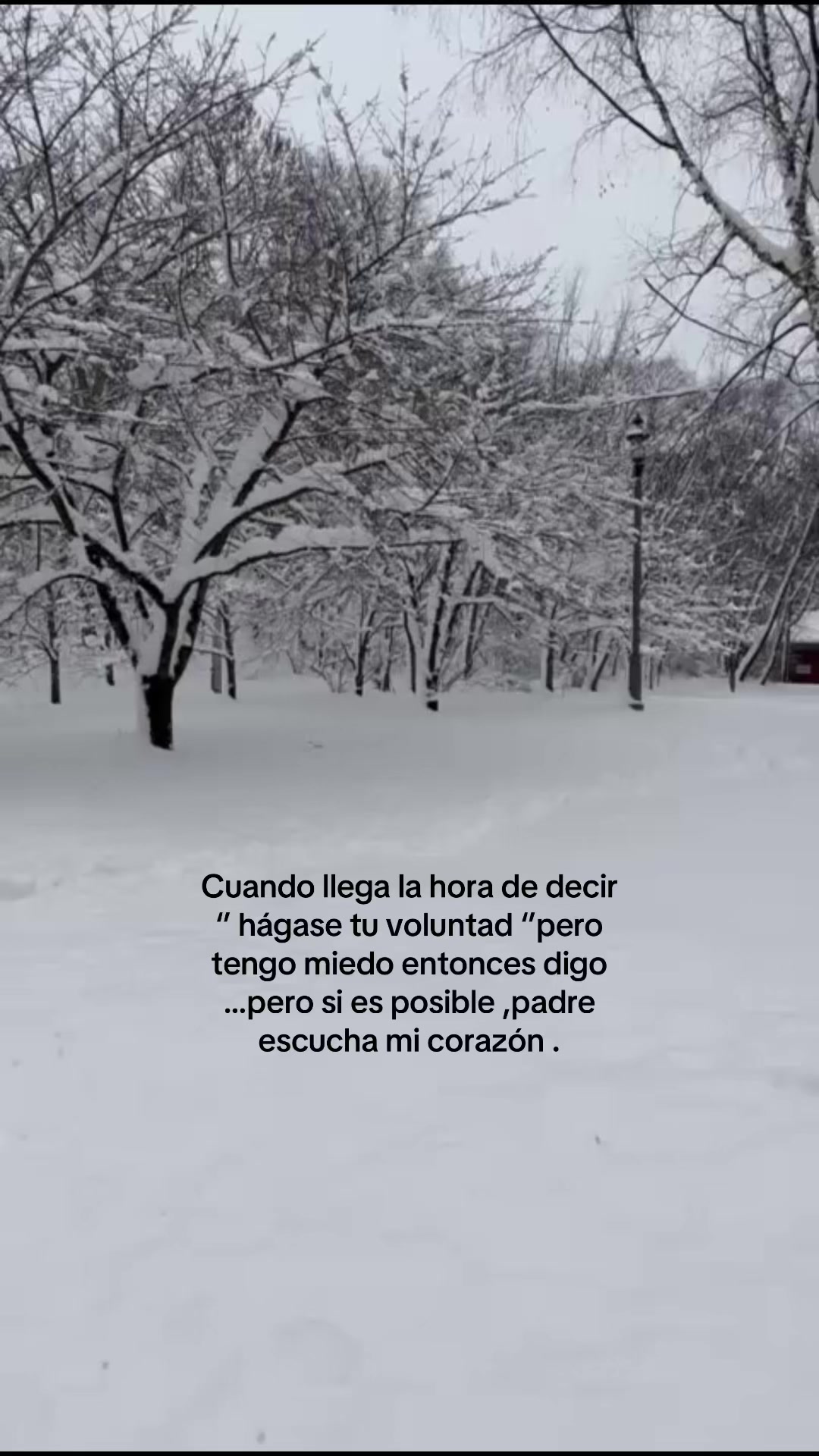 @Fiorela💖