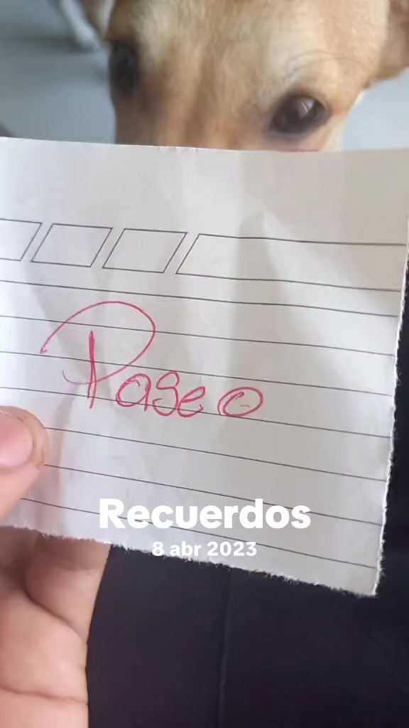 @ederyanez