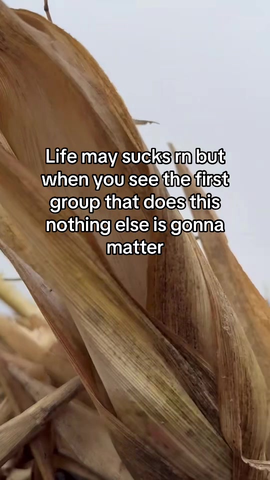 @Gage Bauer