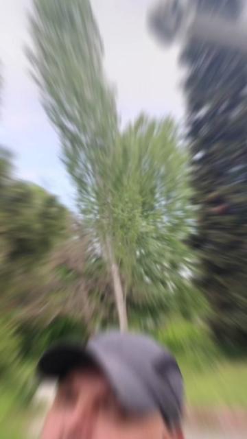 @Petar Prokopov