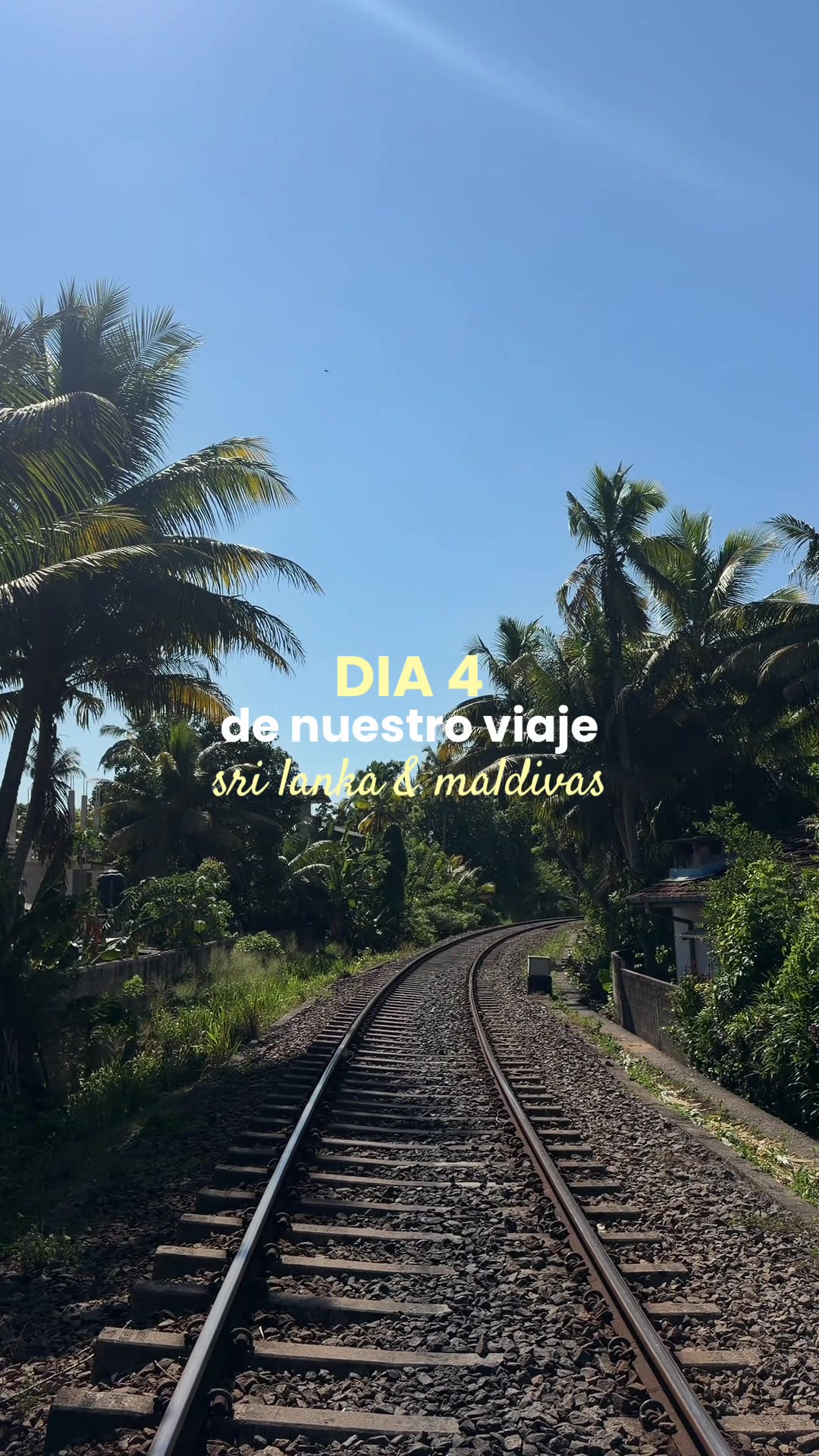 @Laia Ruiz