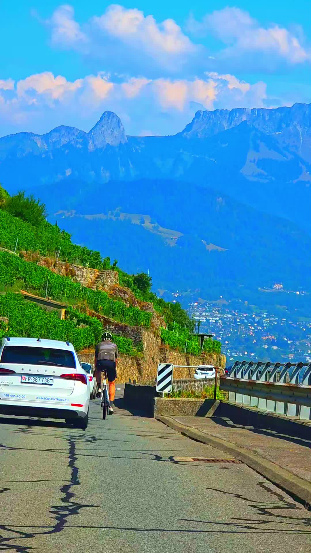 @🇨🇭flores Sérgio 🇵🇹