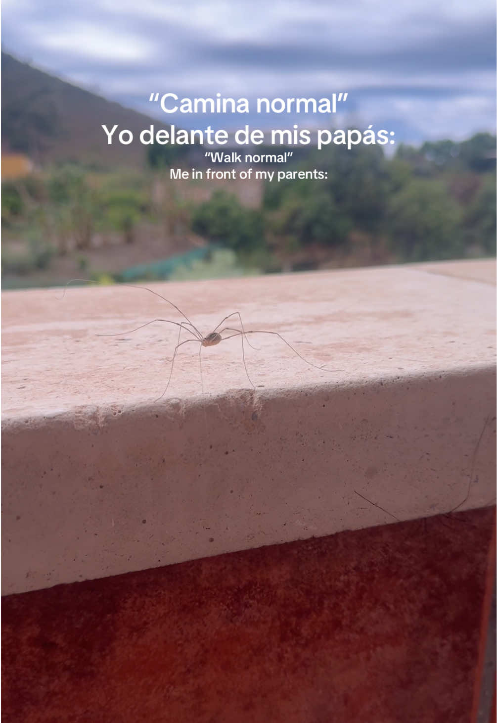 @Paula’Show