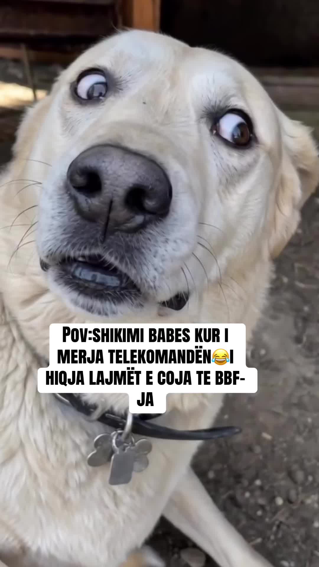 @Vdes per këto te dyja😻😻