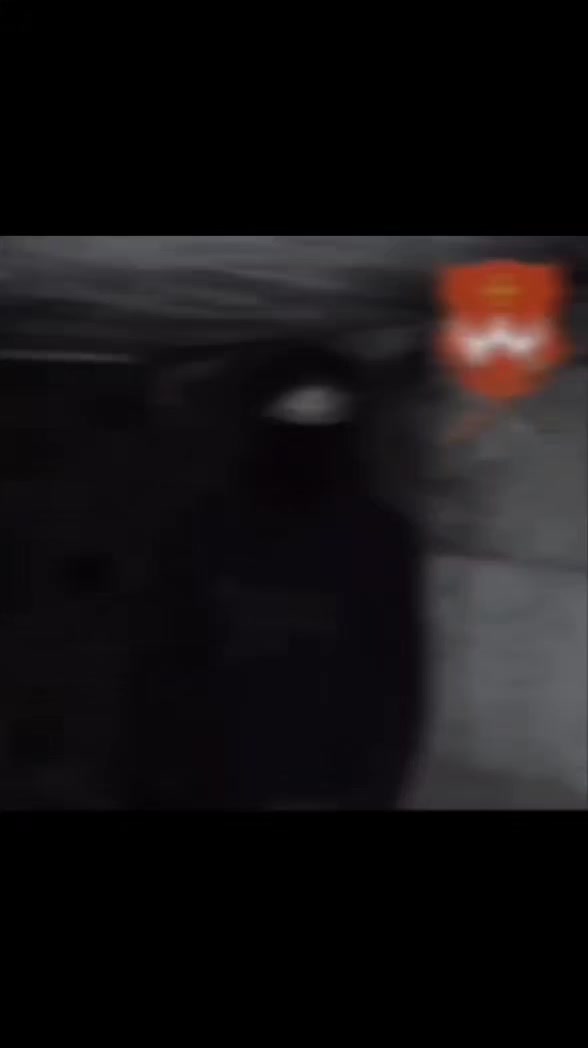 @Ярік𒉭
