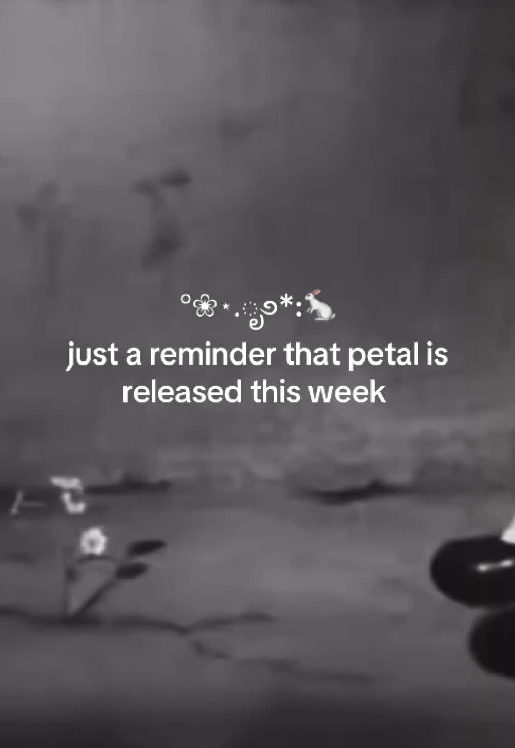 @westsidemoonlight