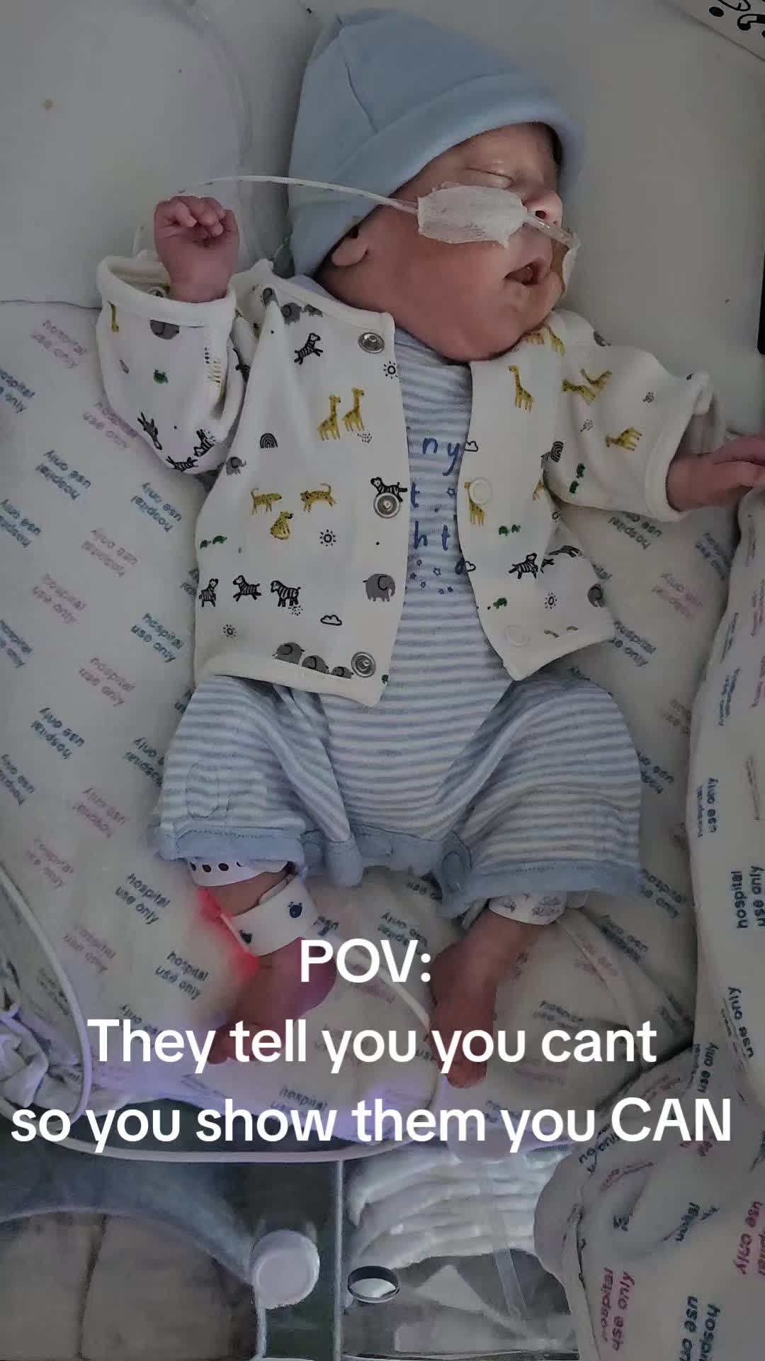 @LoveLilyandArthur