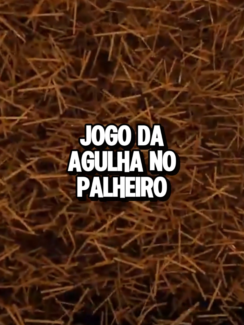 @Vinícius Escarião | NEXUS