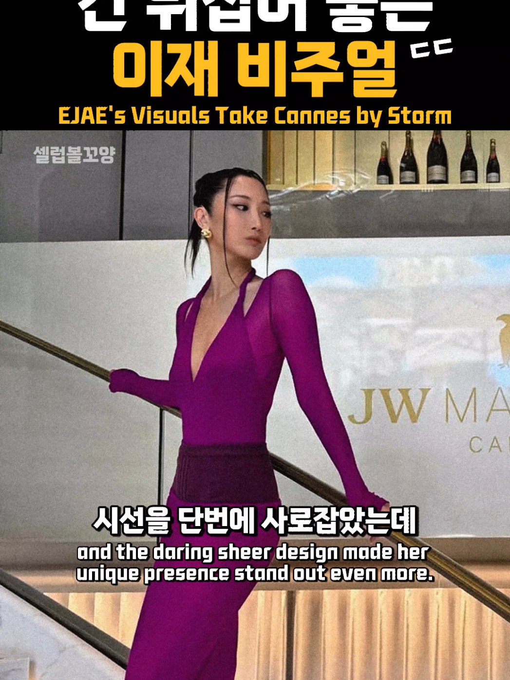 @셀럽볼꼬양