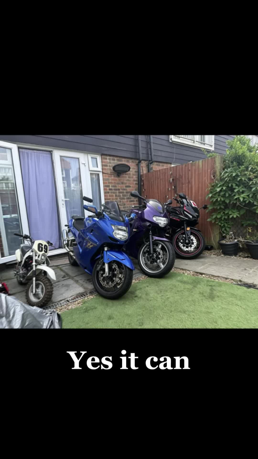 @Sharkbait 🦈