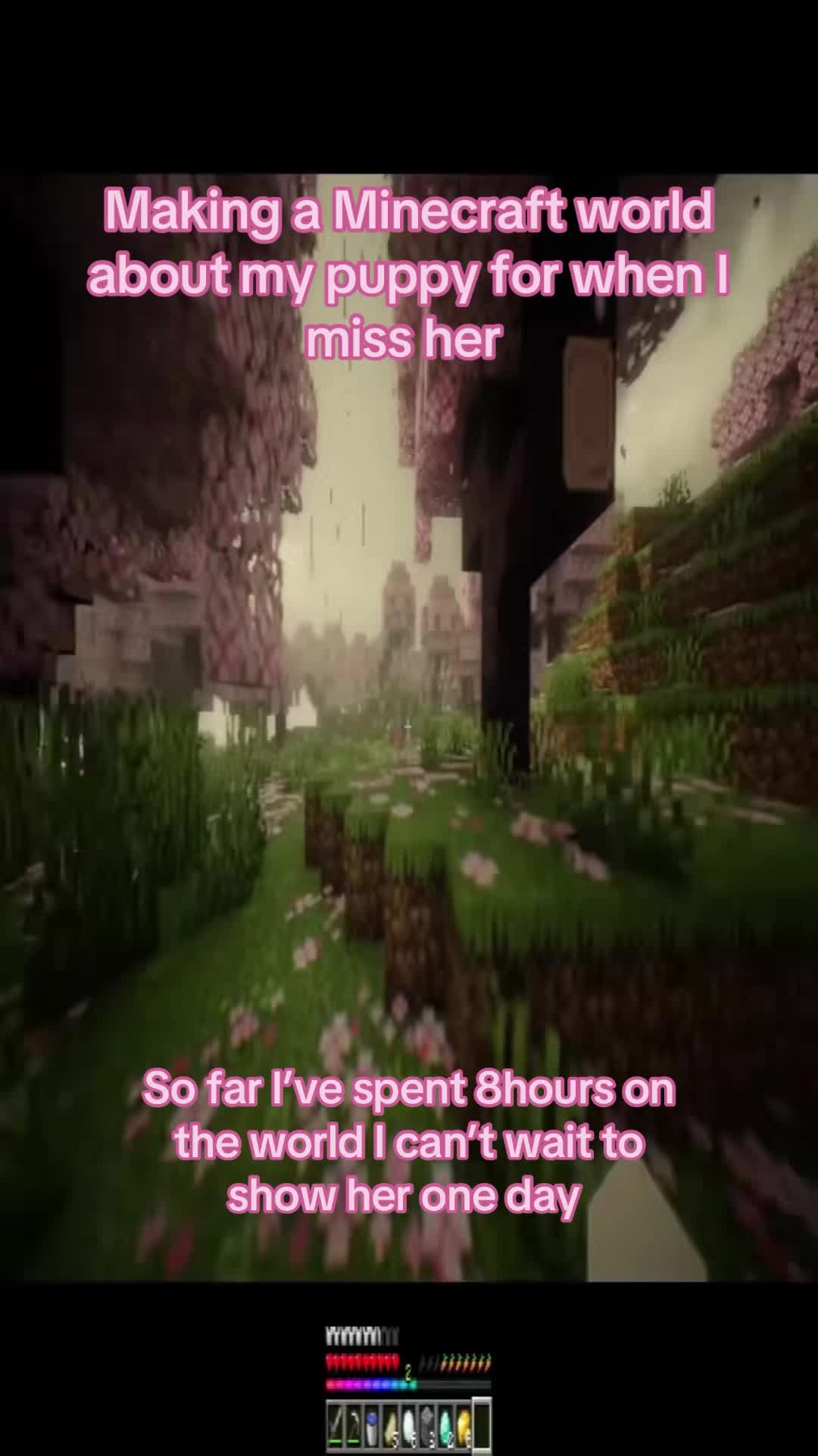 @_xxvzvxx_
