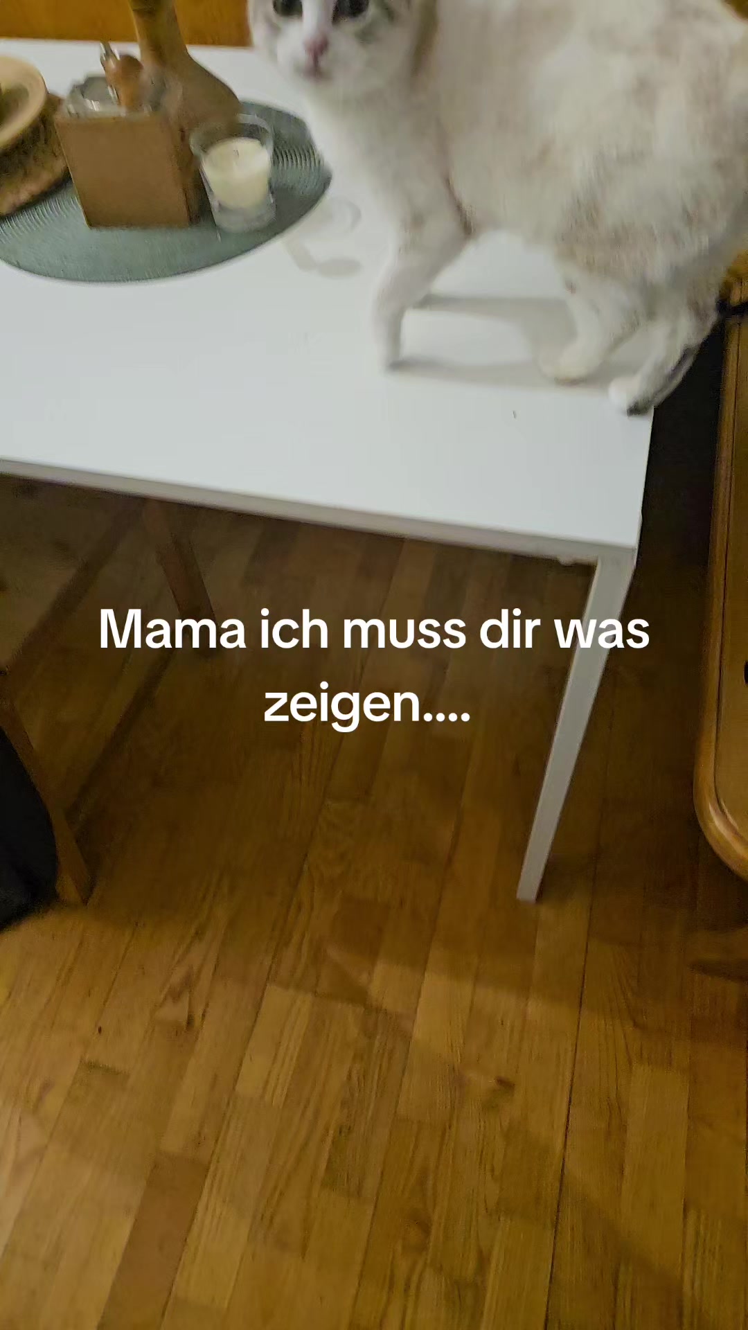 @T.a.n.o1