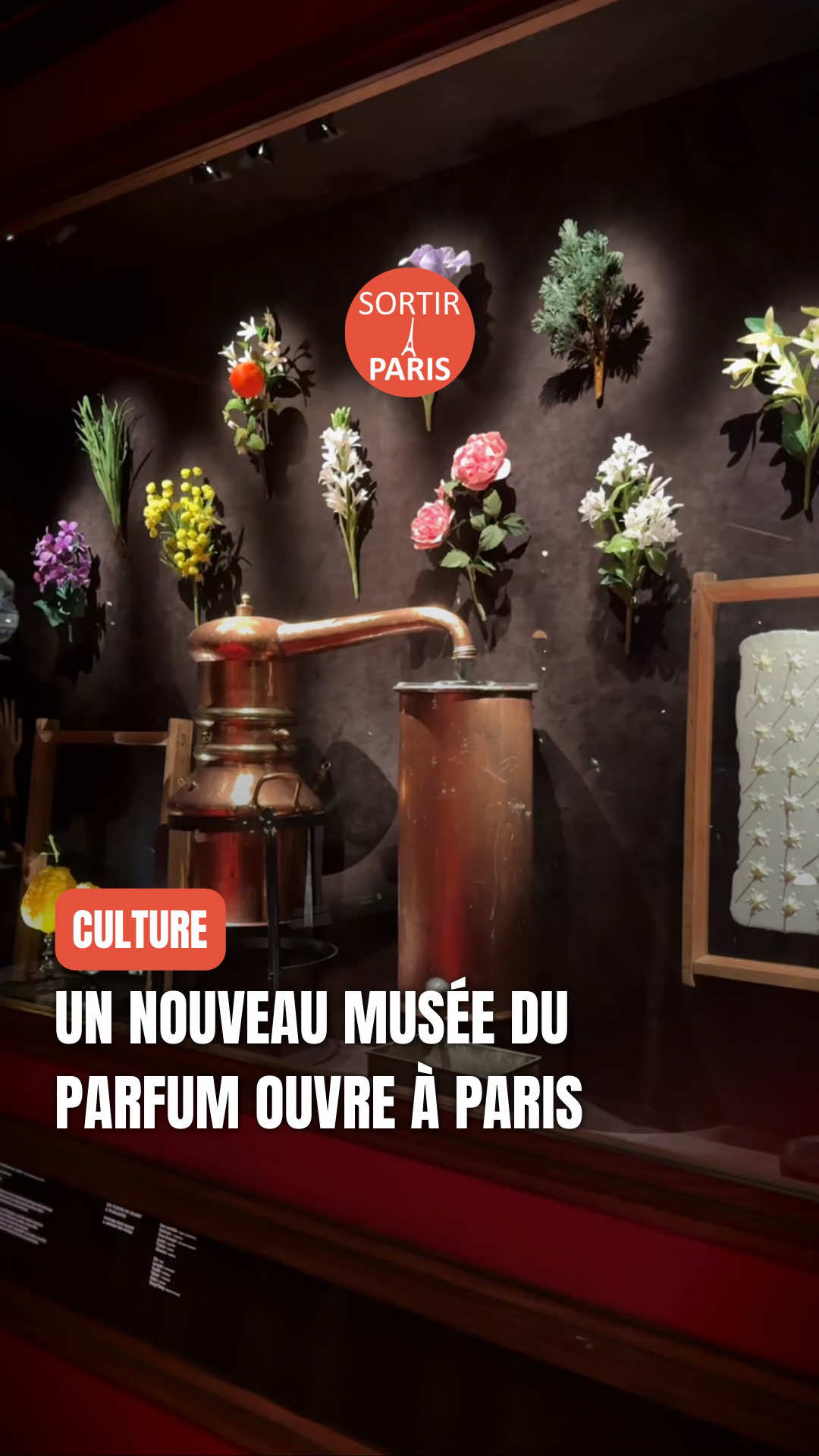 @Sortiraparis