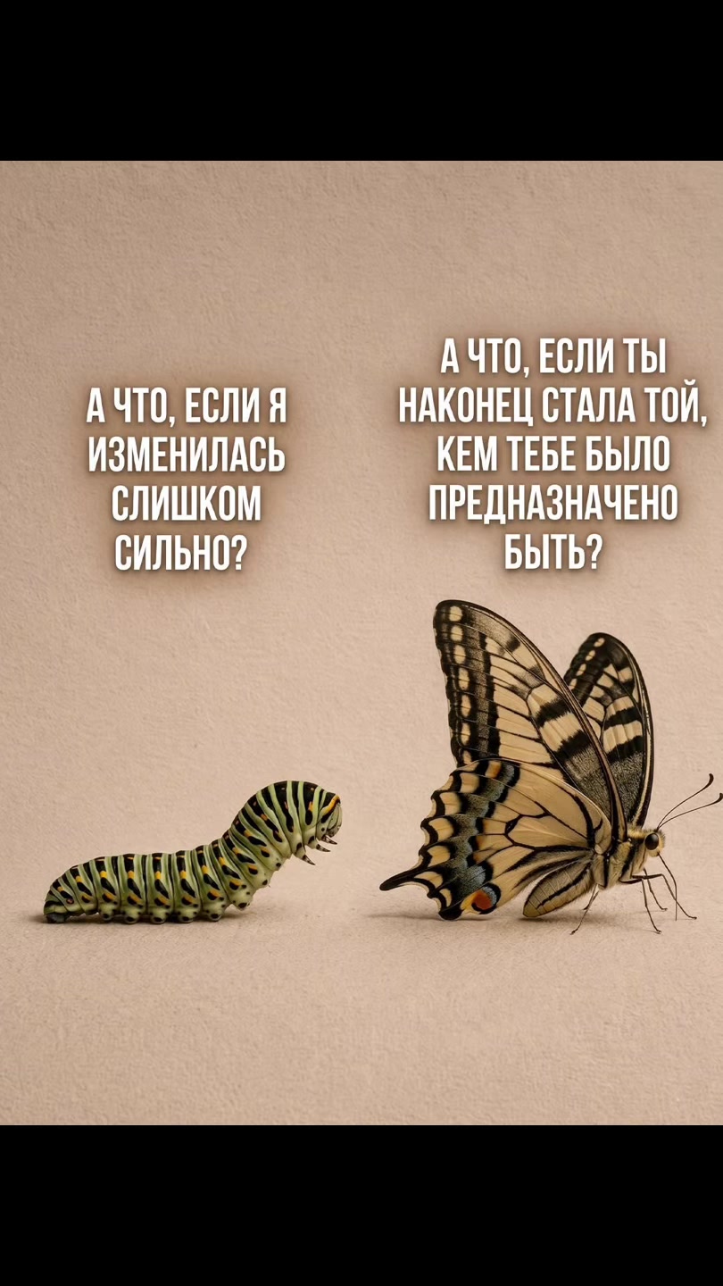 @TETANI 🧬
