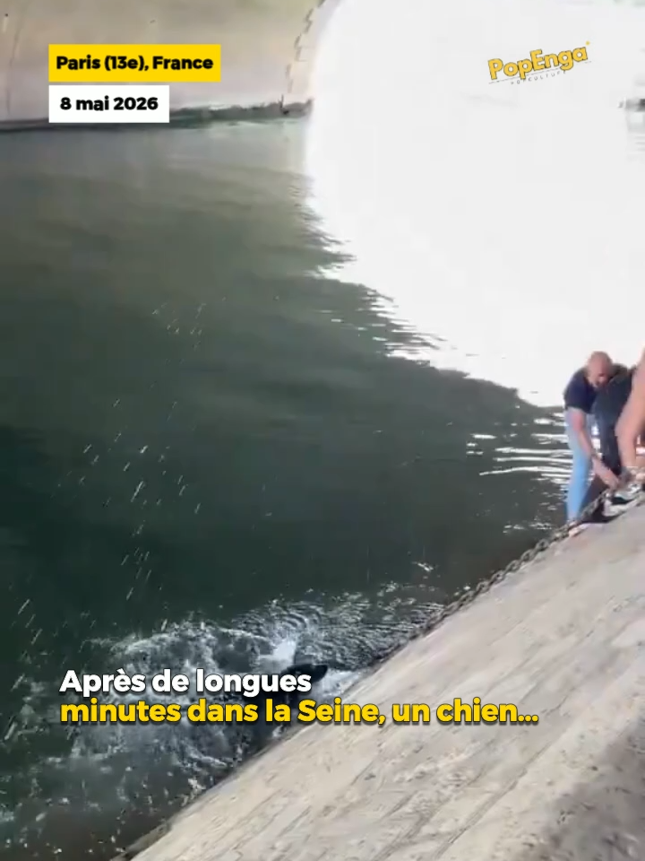 @PopEnga