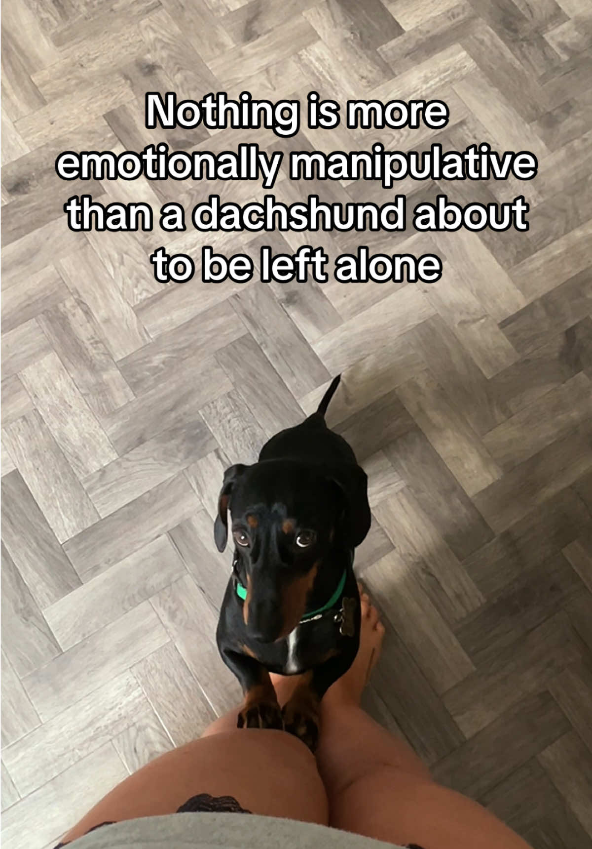@Rebecca, Pip & Rolo